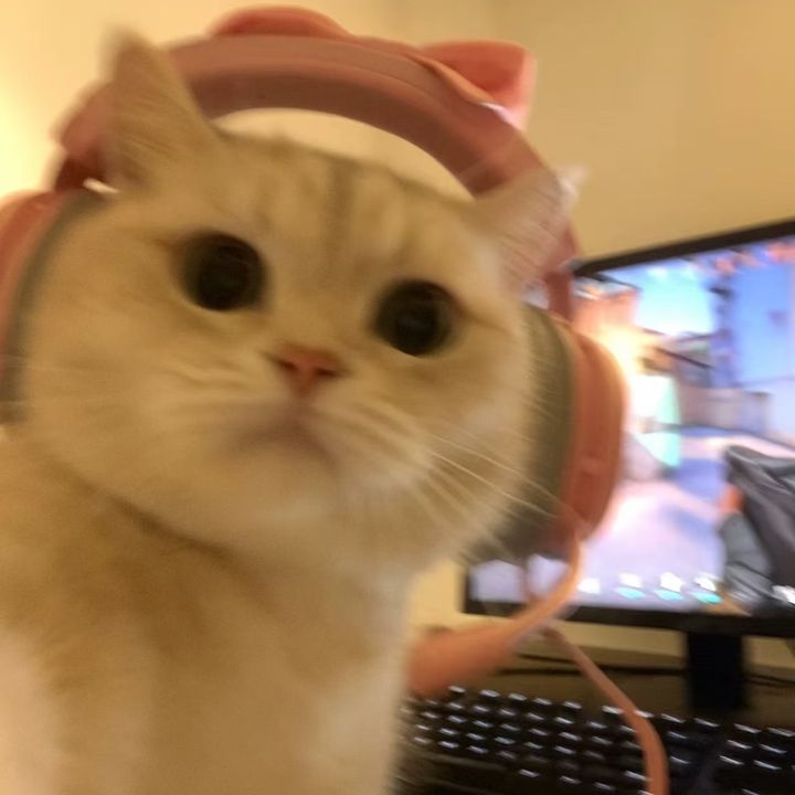 Memimi