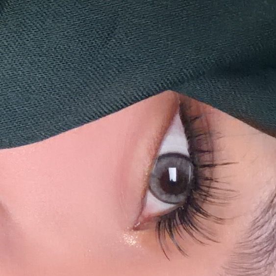 بلقيس