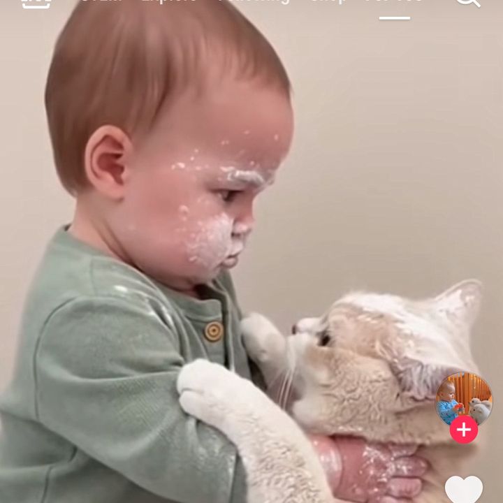 Eidjsjqk
