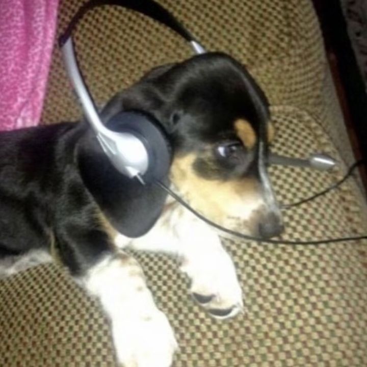 Mouse music3