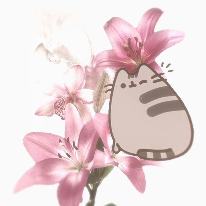 pusheenplaysadopt
