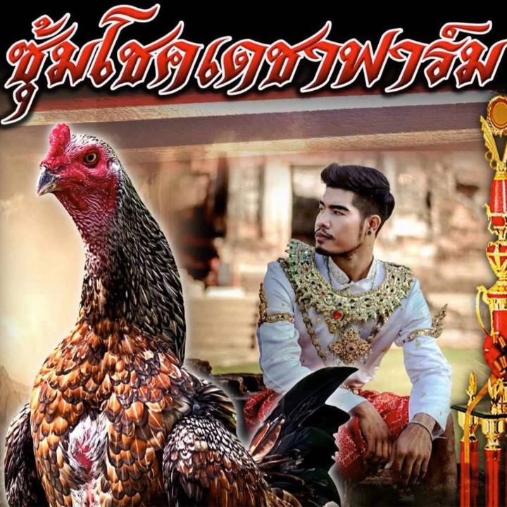 เฮียตั้ม โชคเดชา