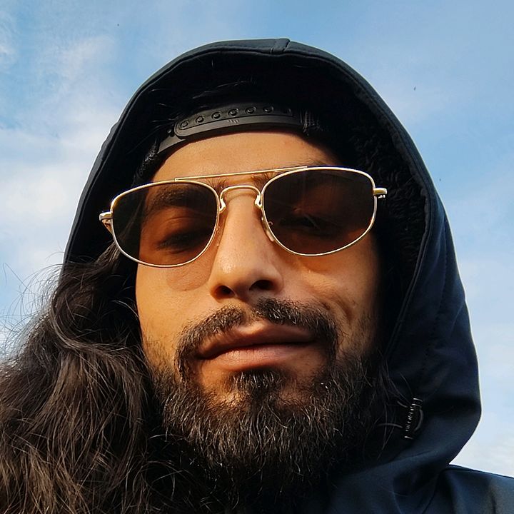 The Bird 🕊️