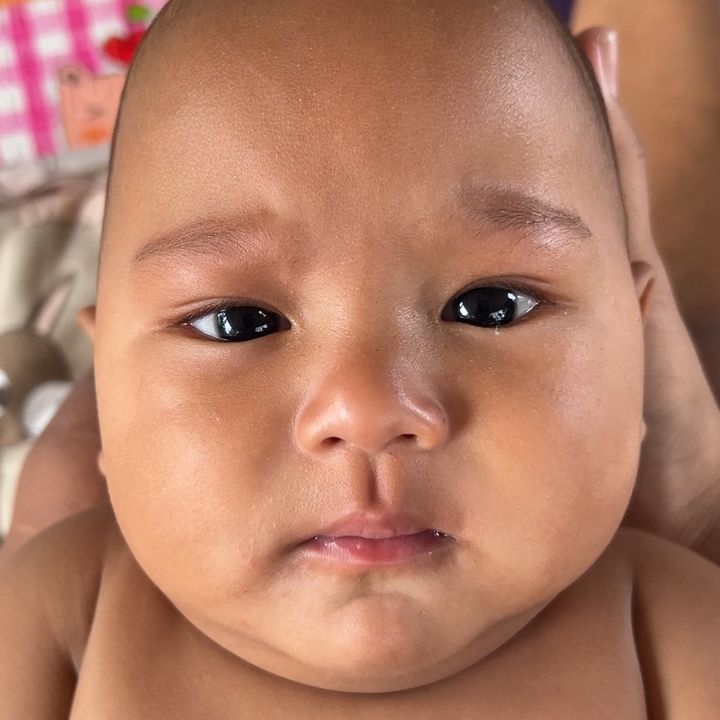 ฝันร้าย ท้ายบรูโน่