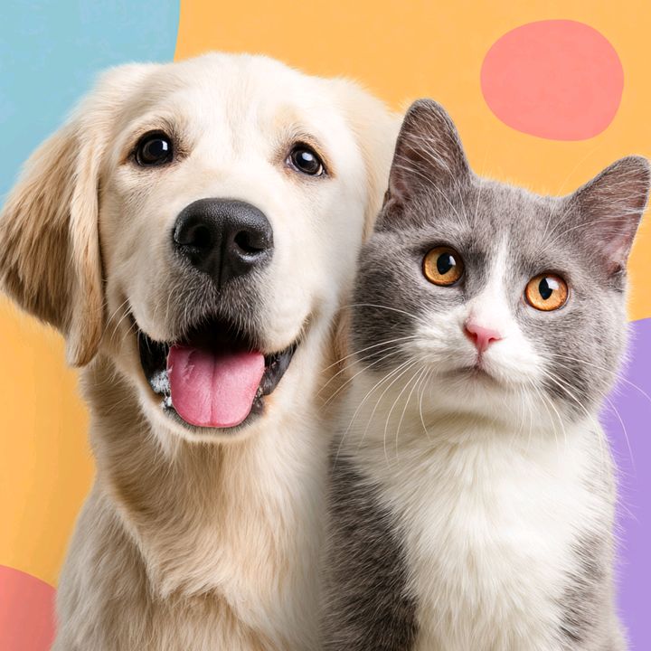 universopet