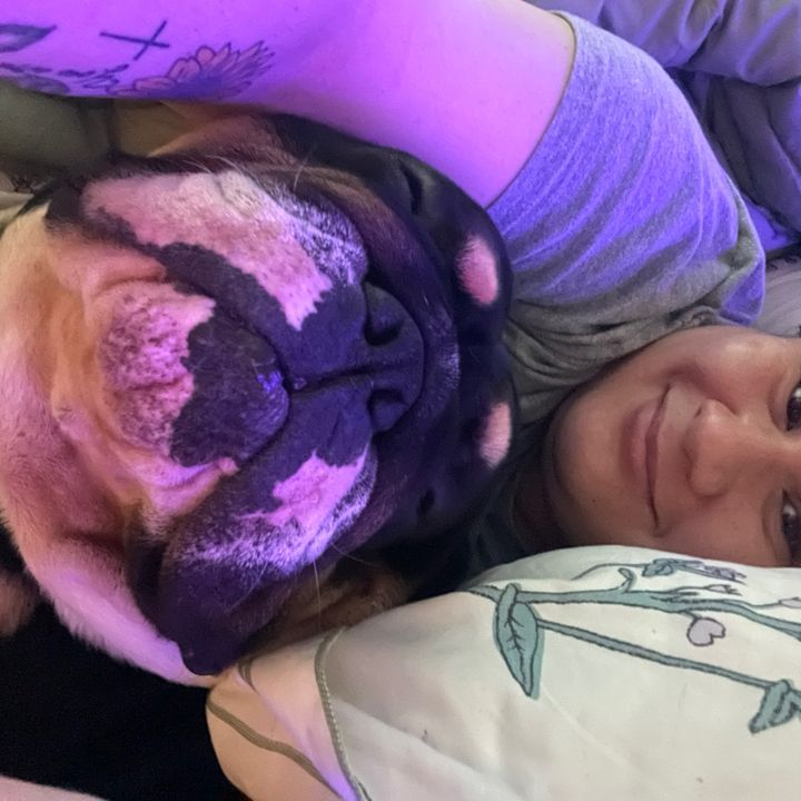 Bulldogmama💙🩷