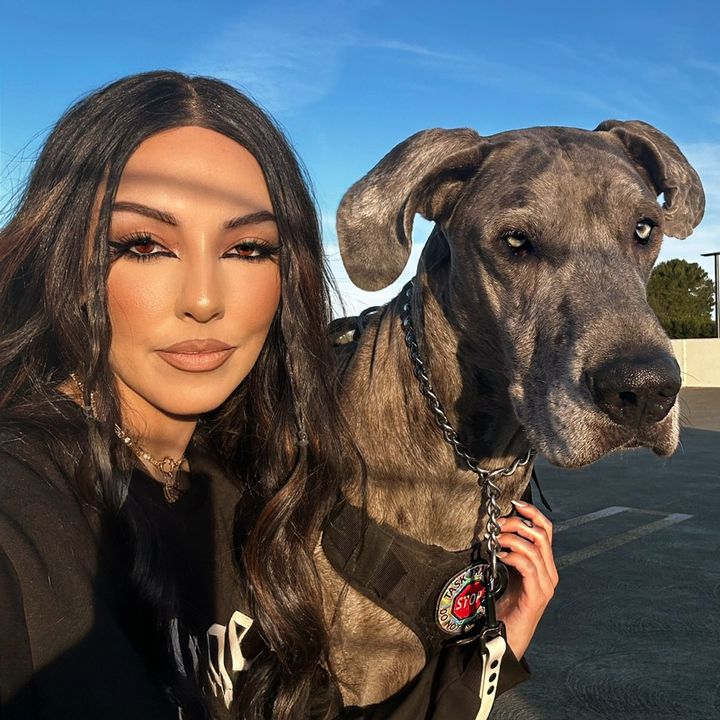 lex 🐺⛓️