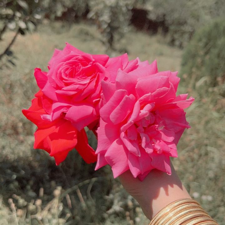 𝓡𝓪𝓱𝓲𝓶 ❤️