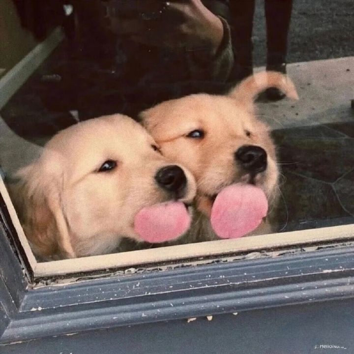 hehbsvsabh