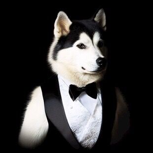 The Gentleman’s Dog