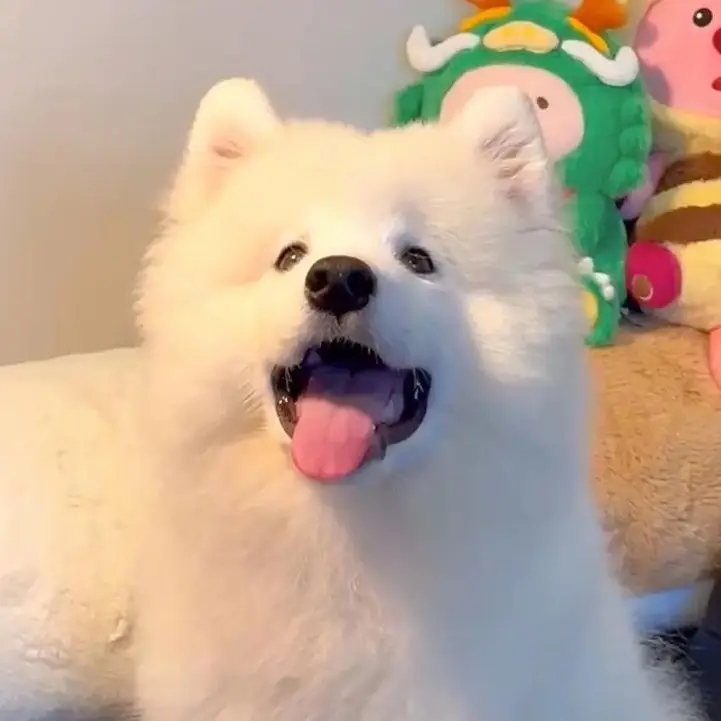 bbbjgg
