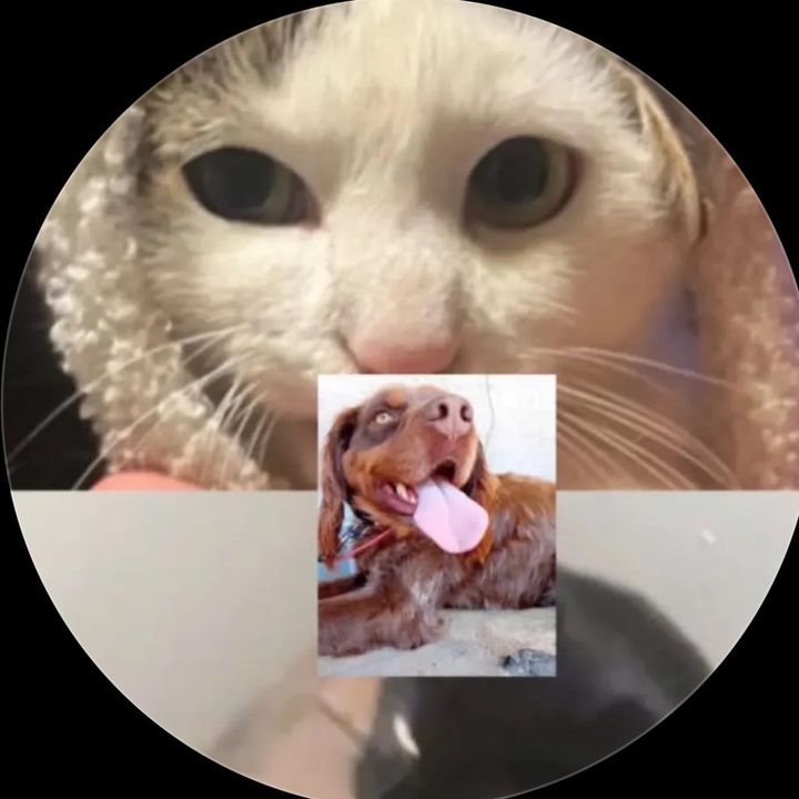 Lescats