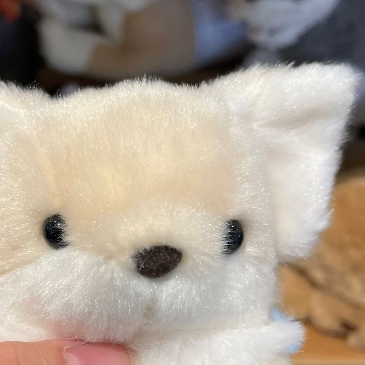 かの