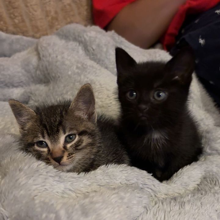 Aiko & Aivo
