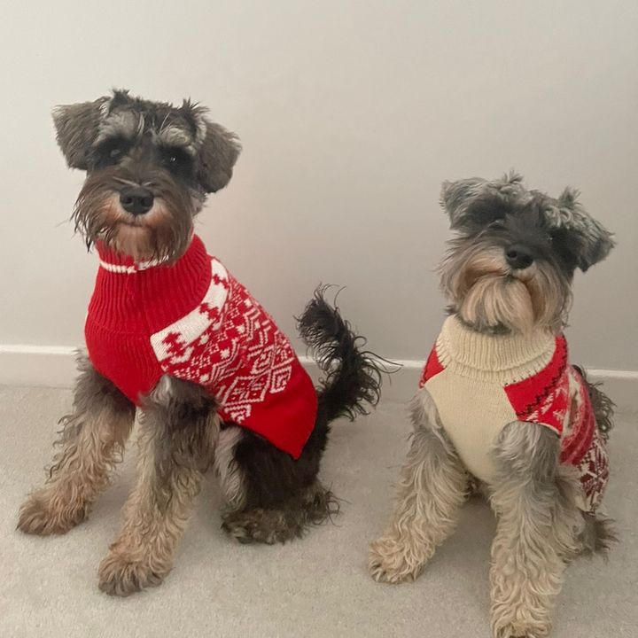 dandmbarkings