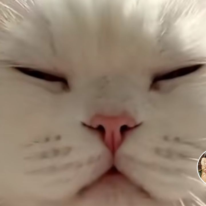 obuimszq97