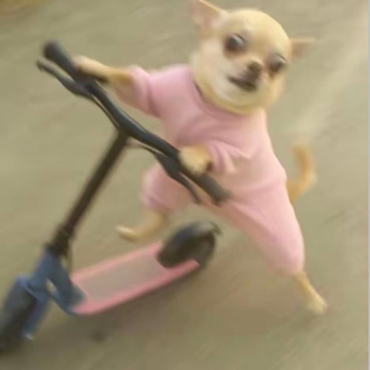 pwbtmfym70