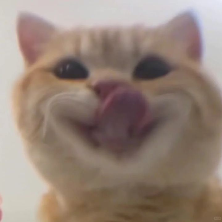 👆