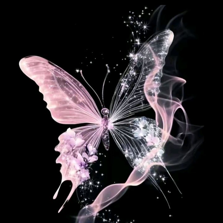 Butterfly🦋