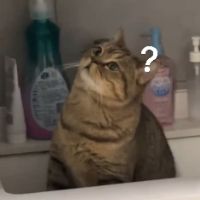 kdzds9923326