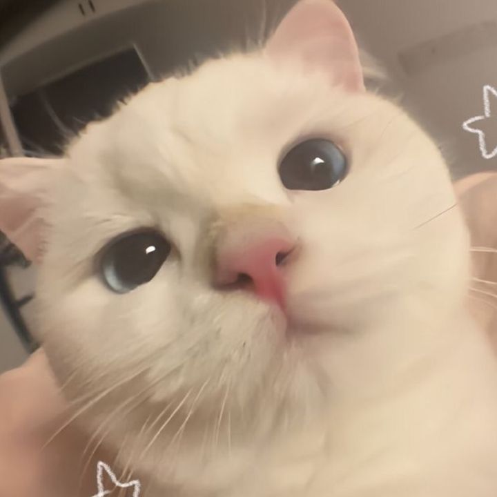 そら
