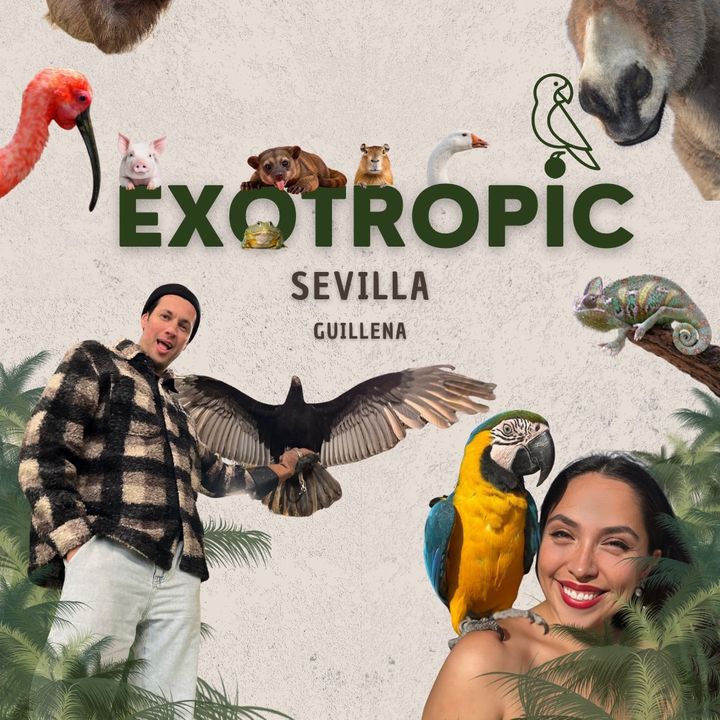 Exotropic Sevilla