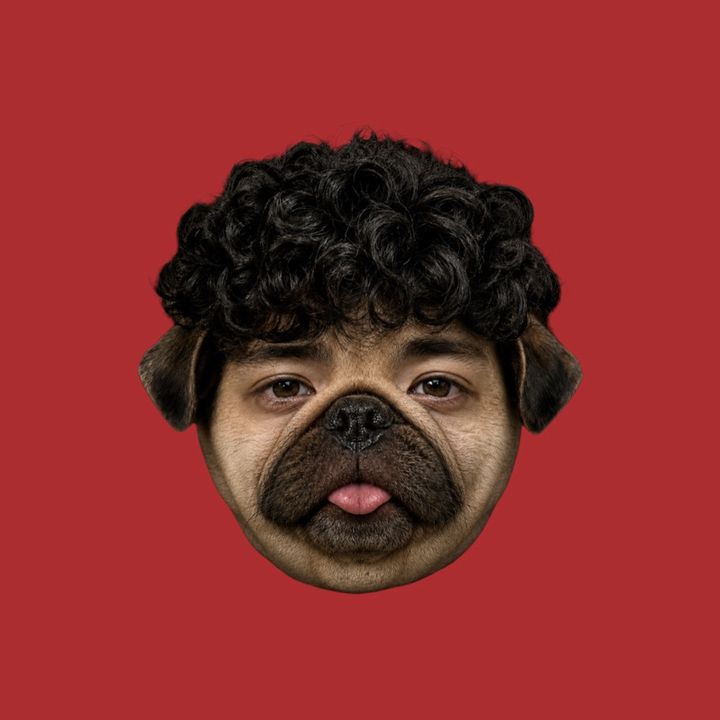 PUPPYPAK