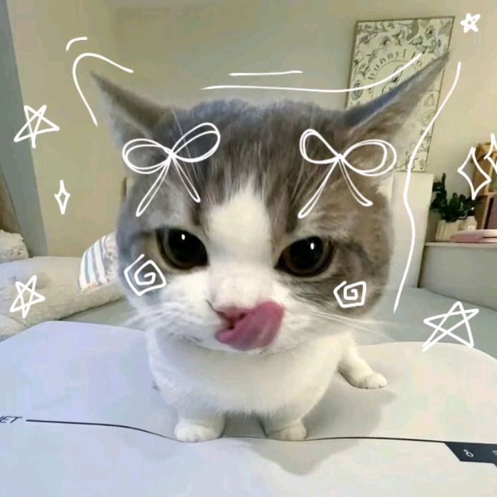 ๋࣭ ˖ 𐔌  𝐚𝐥𝐳𝐡𝐞𝐫𝐚🍒 ࿐ .