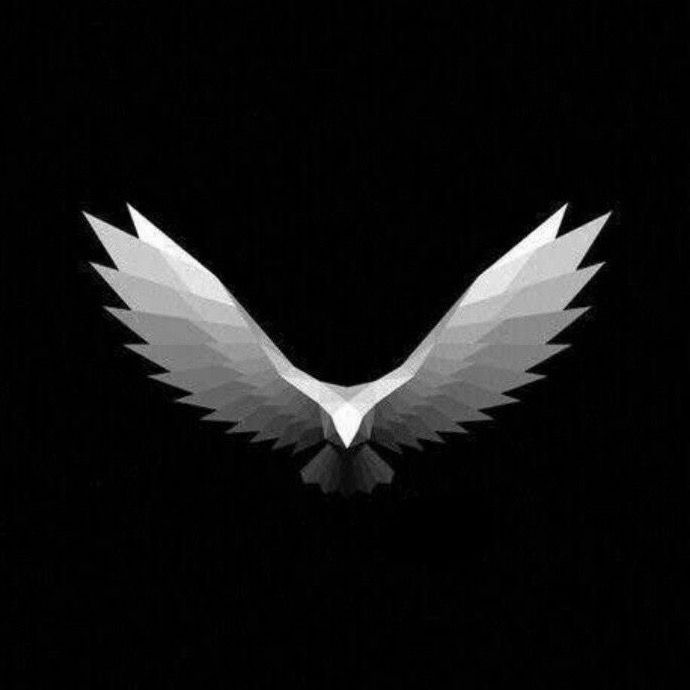 Águia shop 🦅