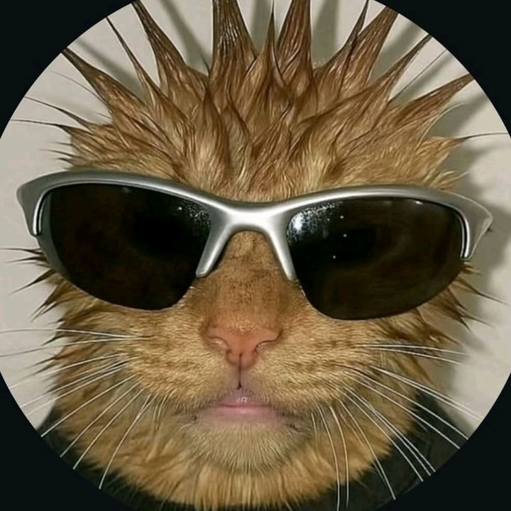 𝚄𝚗𝚎𝚡𝚙𝚎𝚌𝚝𝚎𝚍