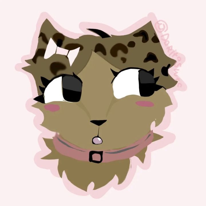 ིྀ 𝓟ᴜʀᴇ! 🐾