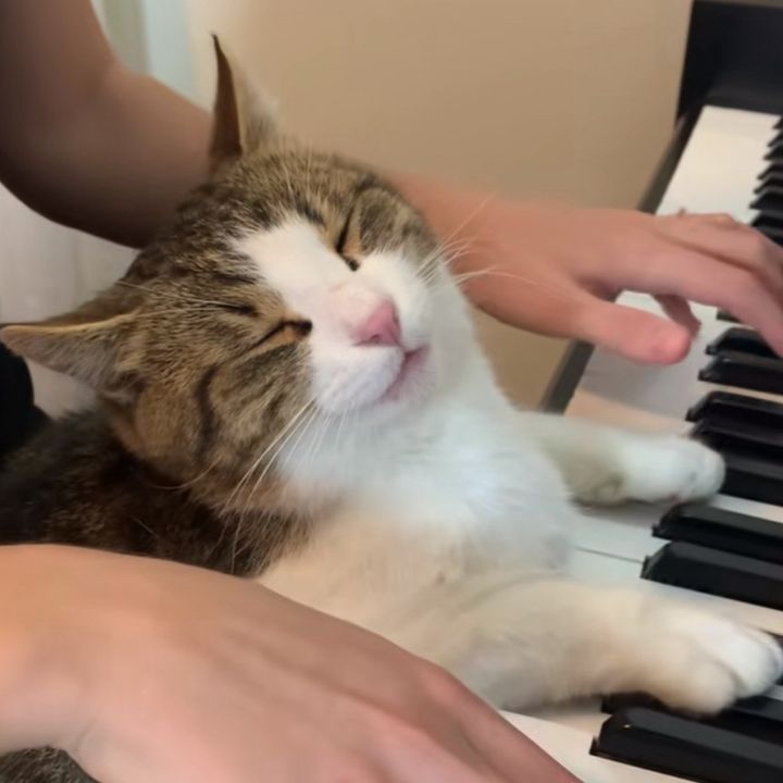 hughjh