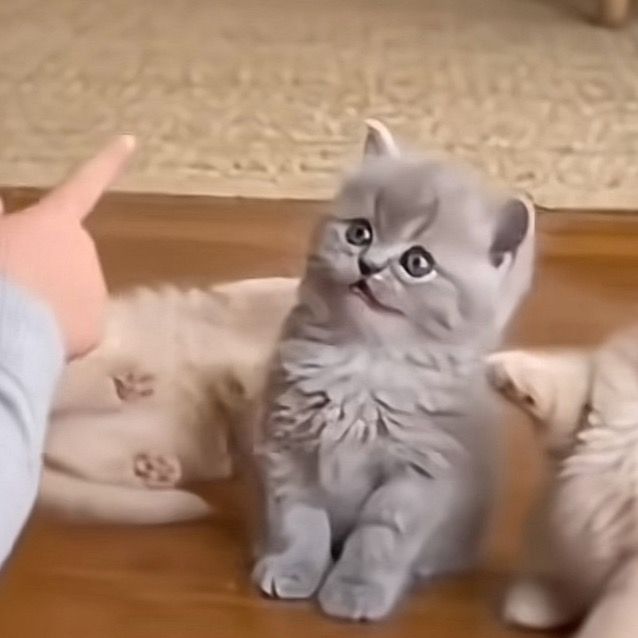 kkyhhhbi