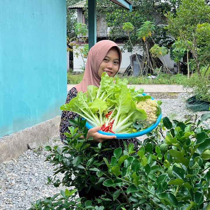 Kebun Emarsela
