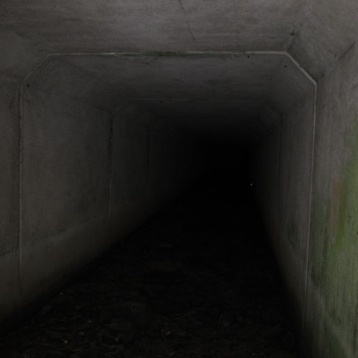 LensLogic