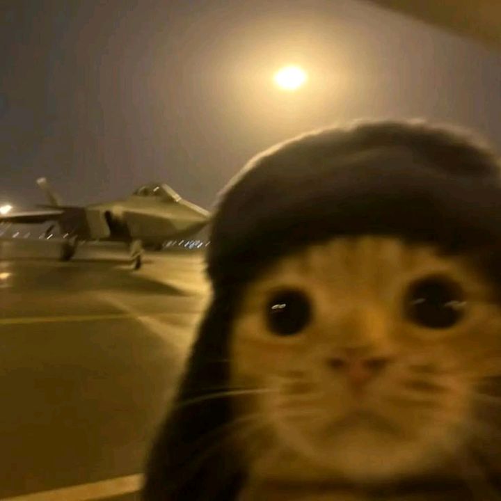 kc