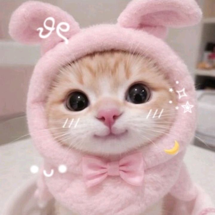 ݁ 𝓜𝓲𝓽𝓼𝓾𝓻𝓲 𐔌՞꜆. ̫.꜀՞𐦯