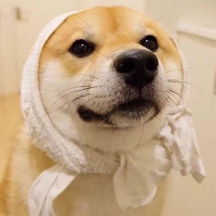 benjasgrlg3