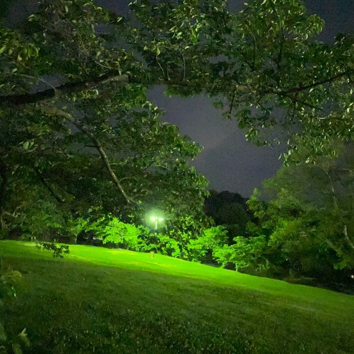 RareWave