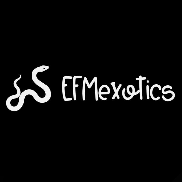 TTexotics