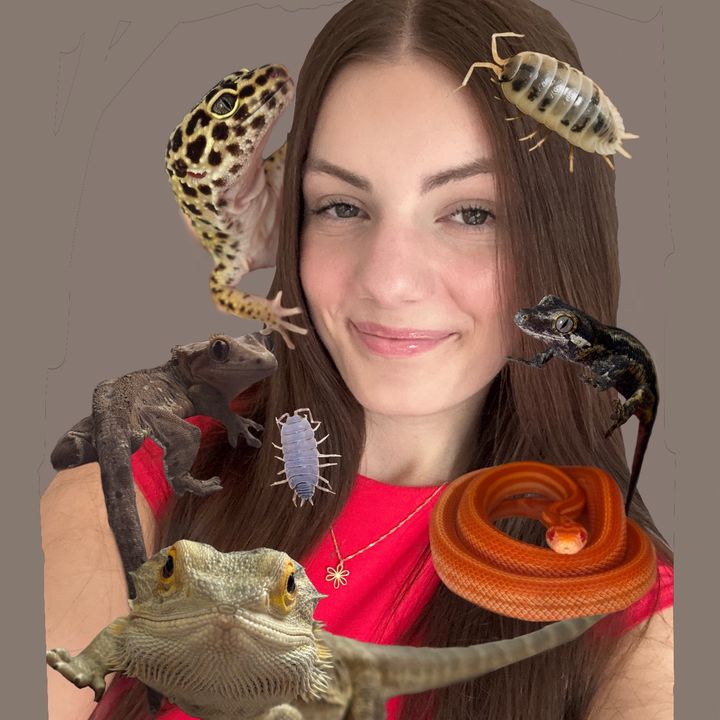 Naomi | Reptile Advocate🦎🐍