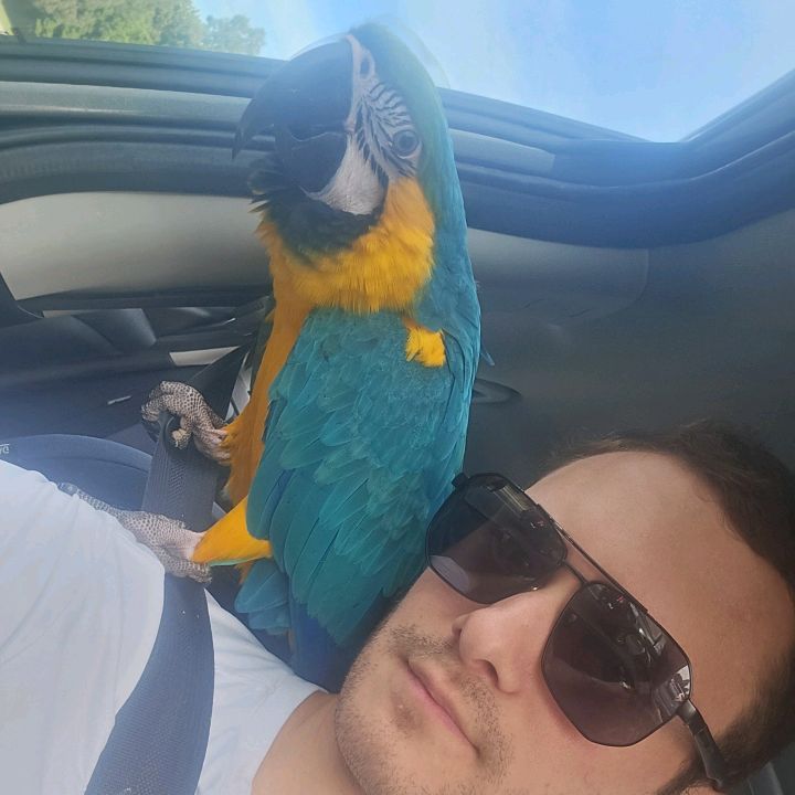 💙Joey🤷🏼♂️ & Chloe🦜💜