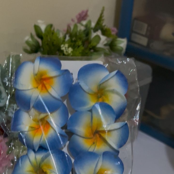 Caya Cayu