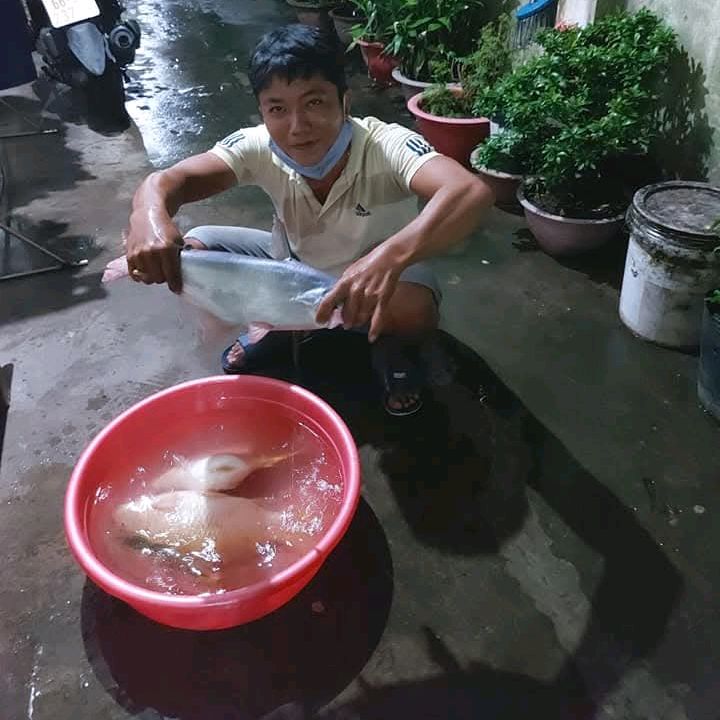 Long Chau