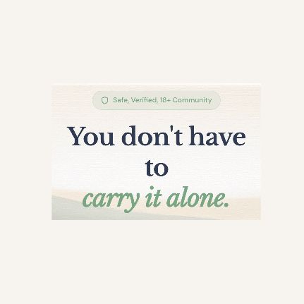 safe haven connect support