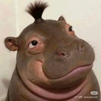 qchvzsm