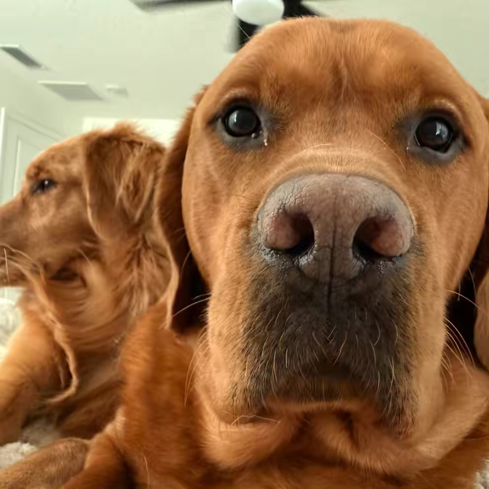 Teddy&Wrangler