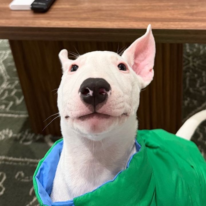 Marty