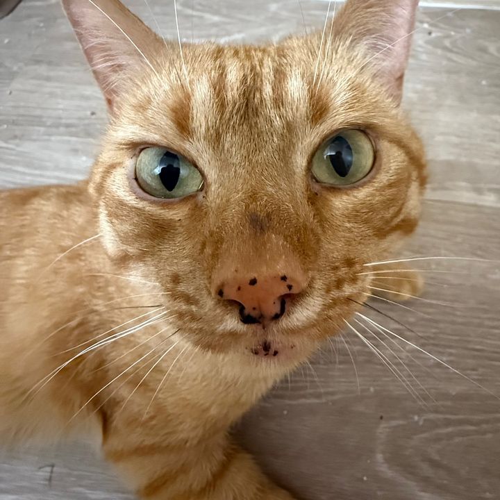 Garry_the_Goober