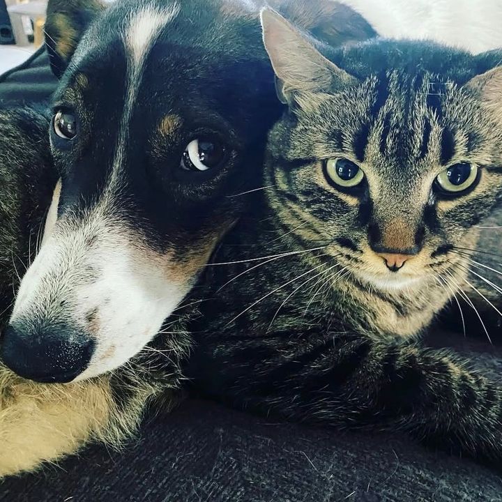 Plume et Riley